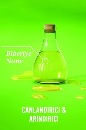 Biberiye & Nane Arındırıcı Sülfatsız Şampuan 385 ml + Saç Bakım Kremi 385 ml