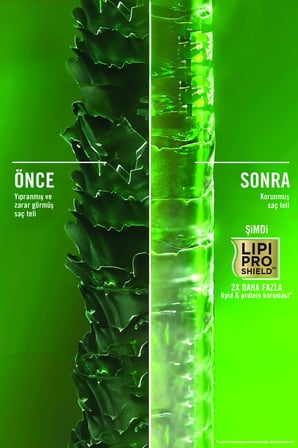 Rosemary Mint (BİBERİYE & NANE IÇEREN) Arındırıcı Şampuan 385 ml & OGX Tarak