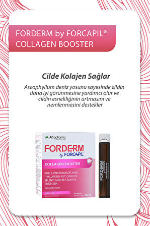 Forderm by Forcapil® Collagen Booster