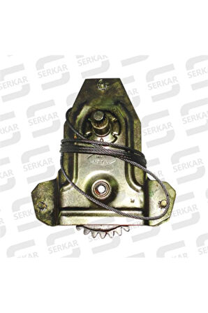 SERCE CAM KRİKOSU ÖN