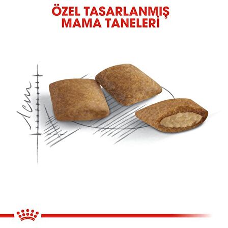 Royal Canin 12 yaş ve Üzeri Kediler için Kuru Kedi Maması 2kg