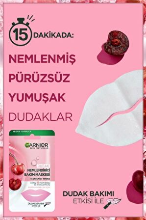 Garnier Dudak Nemlendirici Bakım Maskesi