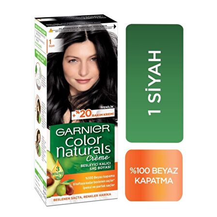 Garnier Color Naturals 1 Siyah