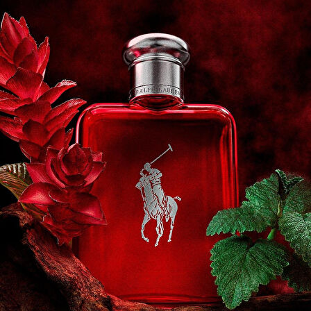 Ralph Lauren Polo Red EDP 125 ml Erkek Parfümü