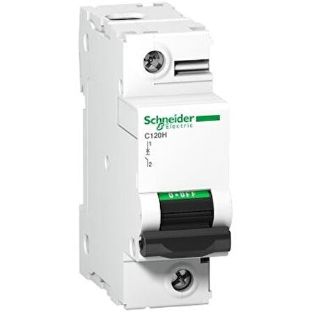 Schneider Electric A9N17491, C120H - devre kesici - 1P - 100A - D eğrisi