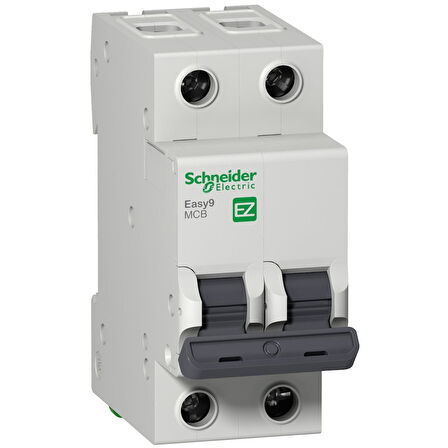 Schneider Easy9 2  Faz 40A 4,5 KA C Tipi N Otomat,EZ9F34240