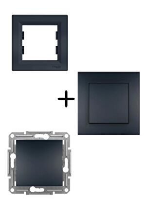 Schneider Asfora Antrasit Vavien - Çerçeveli Tekli Vavien