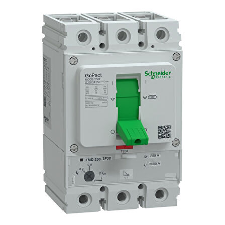 Schneider GoPact 175-250A 3P Termik M Şalter 36kA G25F3A250