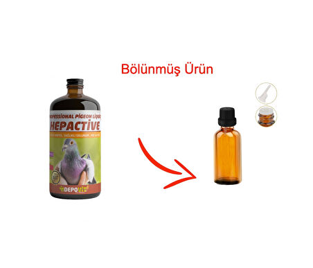 Hepactive Böbrek Karaciğer Koruyucu 100 ml bölünmüş