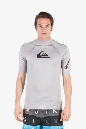 Quiksilver Alltımls Sfsh Erkek Gri T-Shirt EQYWR03137-SGRH
