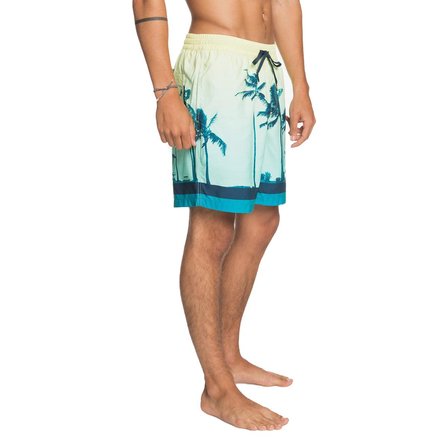 Quiksilver Paradise Volley 17 Erkek Deniz Şortu