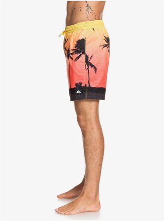 Quiksilver Pardsvly17 M Jamv Erkek Şort