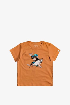 Quiksilver Banalleyboy K S Çocuk Turuncu T-Shirt EQKZT03372-NLF0