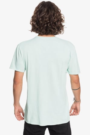 Quiksilver Erkek Tişört EQYZT05804-GCZ0 EQYZT05804-GCZ0003