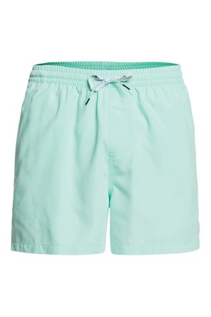 Quiksilver Everyday 15 M Jamv Erkek Volley Short  EQYJV03531-GCZ0