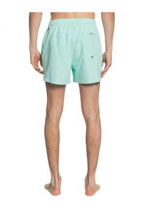 Quiksilver Everyday 15 M Jamv Erkek Volley Short  EQYJV03531-GCZ0