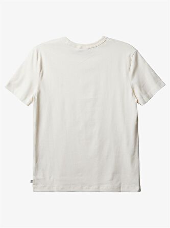 Quiksilver Bisiklet Yaka Baskılı Beyaz Erkek T-Shirt EQYKT04092 ESSENTIALS SS