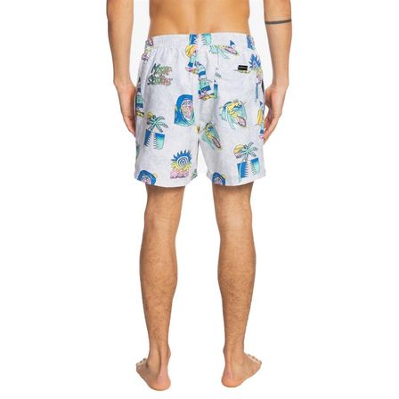 Quiksilver Island Pulse Volley 15 Erkek Şort