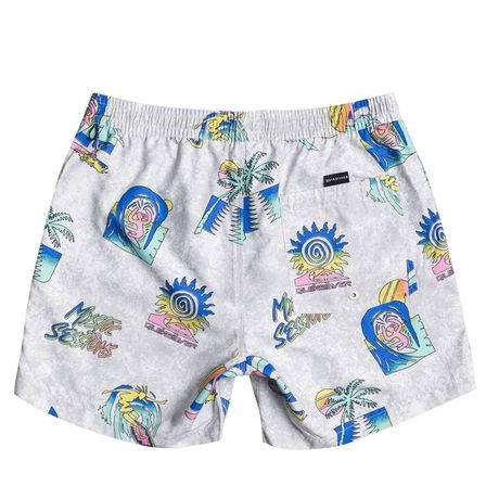 Quiksilver Island Pulse Volley 15 Erkek Şort