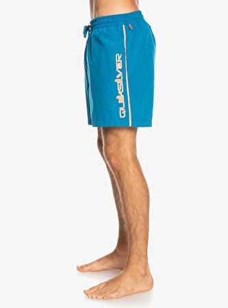 Quiksilver EVERYDAY VERT VOLLEY 16 Erkek Şort EQYJV03883-BRN0