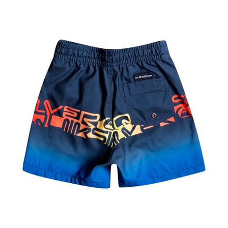 Quiksilver Wordblock 12 Erkek Çocuk Volleyshort  EQKJV03207