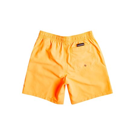 Quiksilver Everyday 13 Erkek Çocuk Deniz Şortu  EQBJV03331