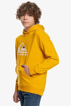 Quiksilver Big Logo Erkek Çocuk Sweatshirt  EQBFT03720