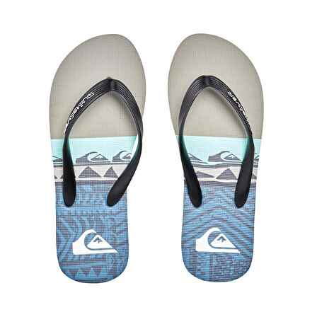 Quiksilver Molokai Panel Erkek Terlik  AQYL101263