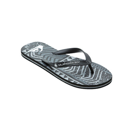 Quiksilver Molokai Art Erkek Terlik  AQYL101264