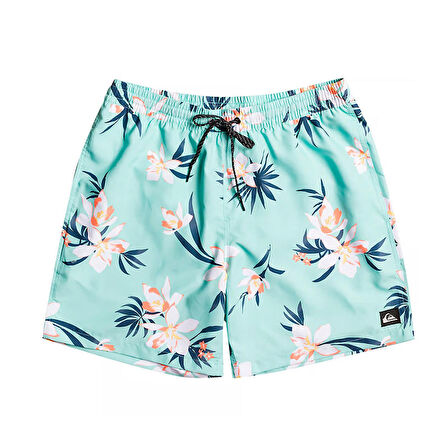 Quiksilver Everyday Mix 17 Erkek Volley Short
  EQYJV04002