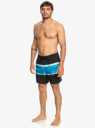 Quiksilver Siyah Erkek Şort Mayo EQYJV04011 AIR-BRUSH 17NB M JAMV