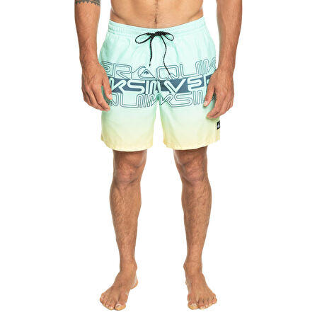 Quiksilver Wordblock 17 Erkek Volley Short  EQYJV04005