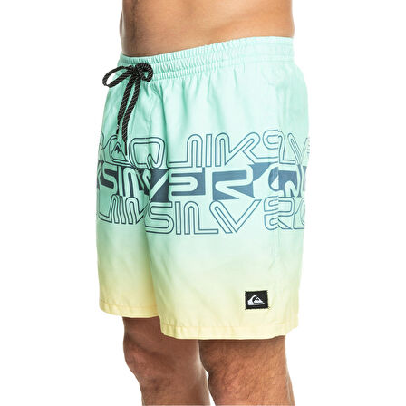 Quiksilver Wordblock 17 Erkek Volley Short  EQYJV04005