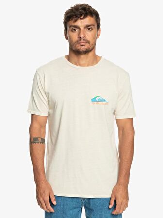 Quiksilver Pastime Paradise Erkek Tişört  EQYZT07252