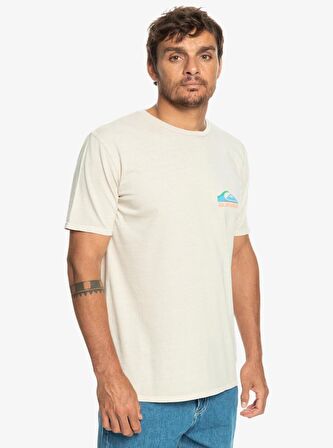 Quiksilver Pastime Paradise Erkek Tişört  EQYZT07252