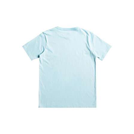 Quiksilver QS Surf Lockup Erkek Çocuk Tişört  EQBZT04585