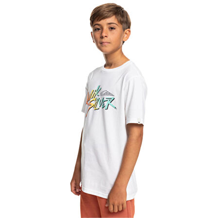 Quiksilver Signature Move Erkek Çocuk Tişört  EQBZT04587