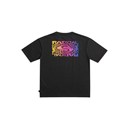 Quiksilver Radical Flag Erkek Çocuk Tişört  EQBZT04616