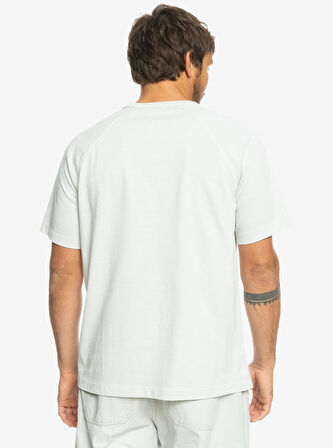 Quiksilver EQYKT04279-SFV0 Alpha Dog Ss Tee Erkek Spor Tişört