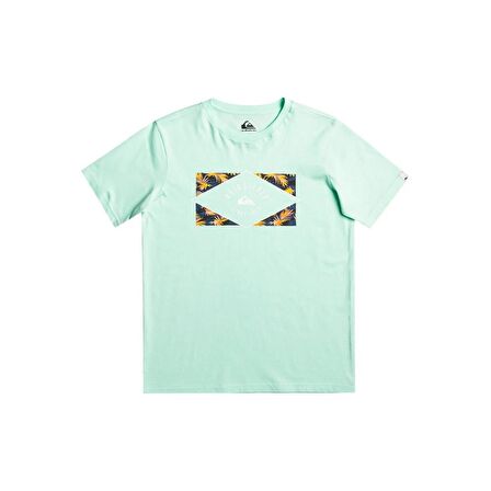 Quiksilver EQBZT04590 Circledline B Tees Erkek Çocuk Tişört