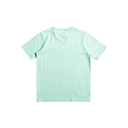 Quiksilver Circled Line Erkek Çocuk Tişört  EQBZT04590