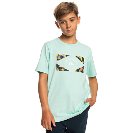 Quiksilver Circled Line Erkek Çocuk Tişört  EQBZT04590