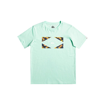 Quiksilver Circled Line Erkek Çocuk Tişört  EQBZT04590