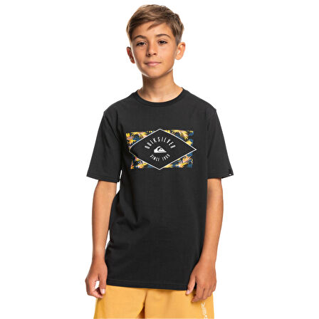 Quiksilver Circled Line Erkek Çocuk Tişört  EQBZT04590