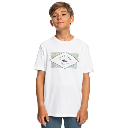 Quiksilver Circled Line Erkek Çocuk Tişört  EQBZT04590