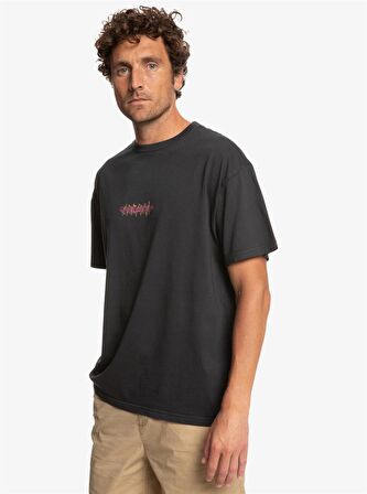 Quiksilver Colour Flow Erkek Tişört  EQYZT07229