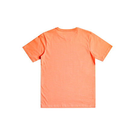 Quiksilver QS Surf Club Erkek Çocuk Tişört  EQBZT04641