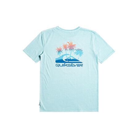 Quiksilver Pastime Paradise Erkek Tişört  EQYZT07252