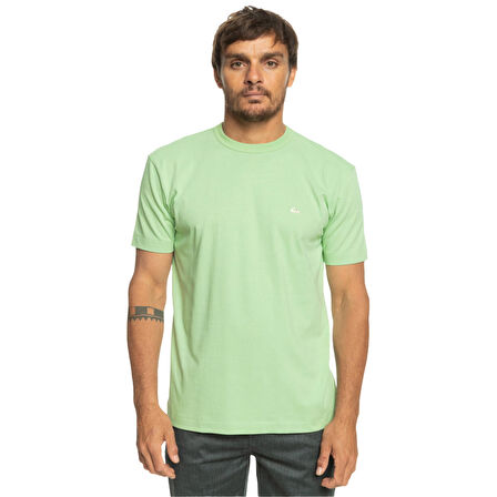 Quiksilver Essentials Organik Erkek Tişört  EQYKT04092