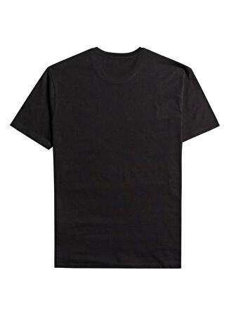 Billabong Siyah Erkek Bisiklet Yaka Regular Fit T-Shirt EBYKT00100_ARCH  KTTP